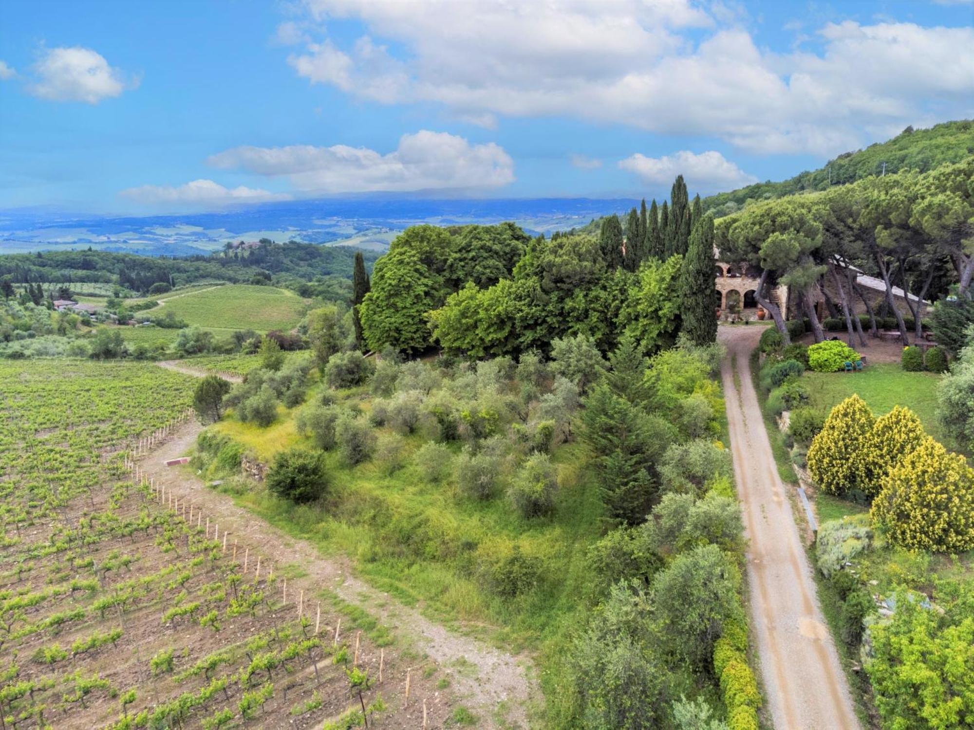 Locazione Turistica Cellole - La Stalla Castellina in Chianti Esterno foto